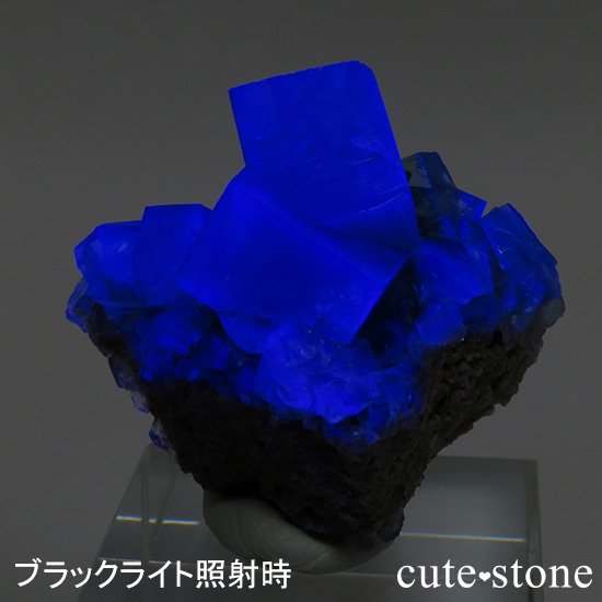 󥰥 ꡼ۻ ָե饤Ȥդ뾽ʸС22gμ̿0 cute stone