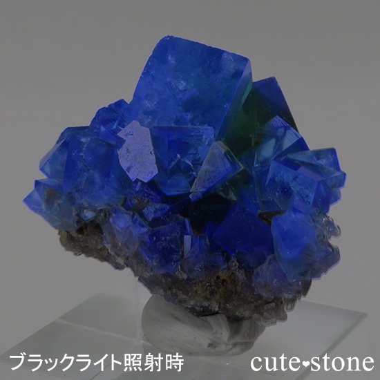󥰥 ꡼ۻ ָե饤Ȥդ뾽ʸС22gμ̿2 cute stone