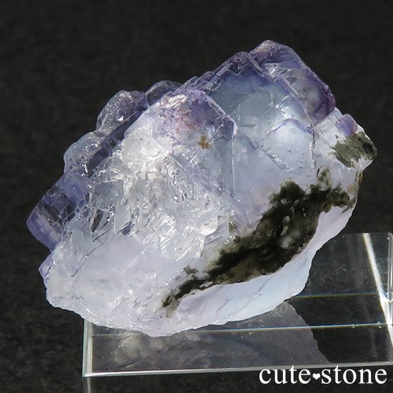 䥪󥷥 ֥롼ե饤Ȥη뾽ʸС26gμ̿1 cute stone