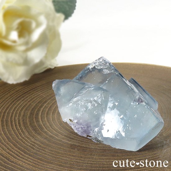 䥪󥷥 ֥롼ե饤Ȥη뾽ʸС40gμ̿0 cute stone