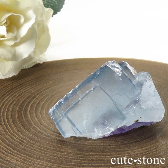 䥪󥷥 ֥롼ե饤Ȥη뾽ʸС40gμ̿1 cute stone