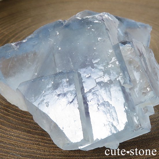 䥪󥷥 ֥롼ե饤Ȥη뾽ʸС40gμ̿2 cute stone