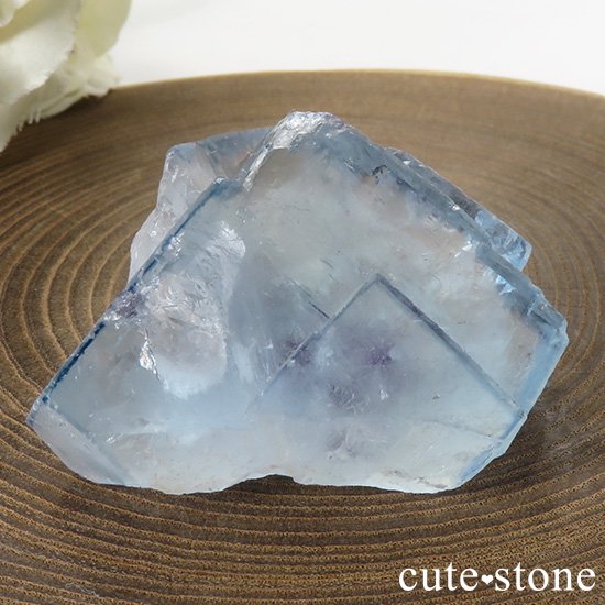 䥪󥷥 ֥롼ե饤Ȥη뾽ʸС40gμ̿3 cute stone