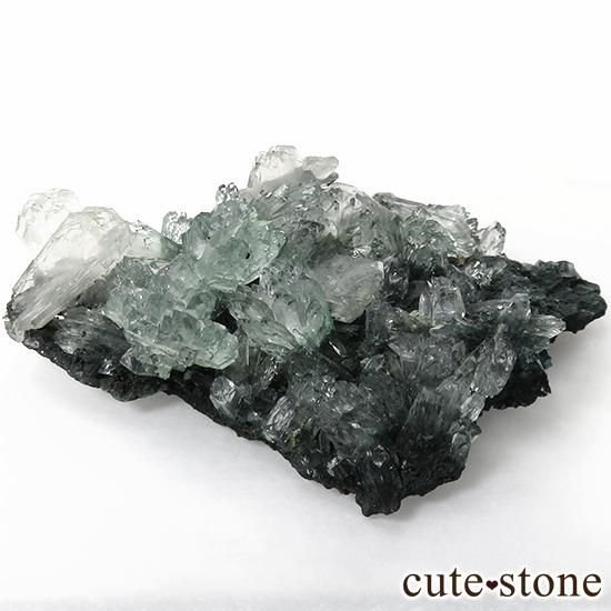 ɻ ꡼󥢥ݥե饤ȡƥХ θ 30gμ̿1 cute stone