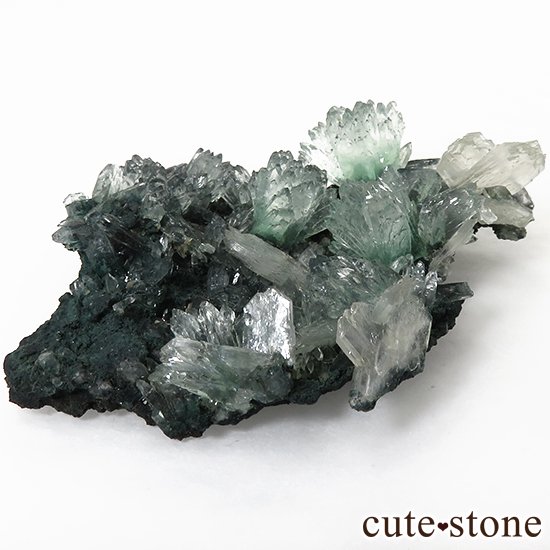 ɻ ꡼󥢥ݥե饤ȡƥХ θ 30gμ̿3 cute stone