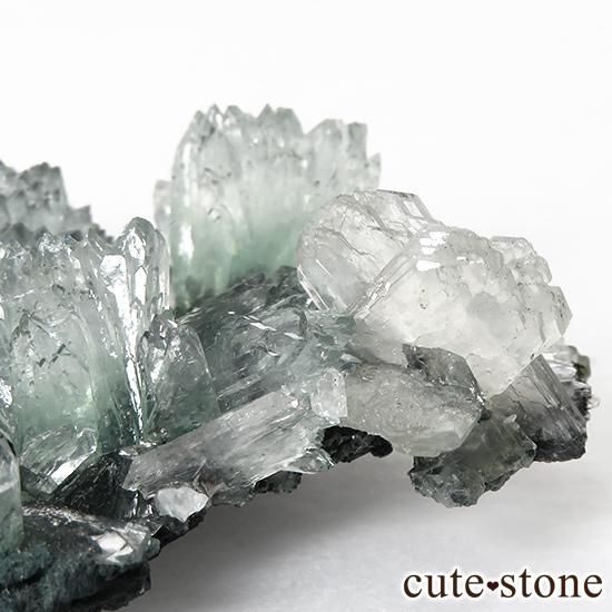 ɻ ꡼󥢥ݥե饤ȡƥХ θ 30gμ̿4 cute stone