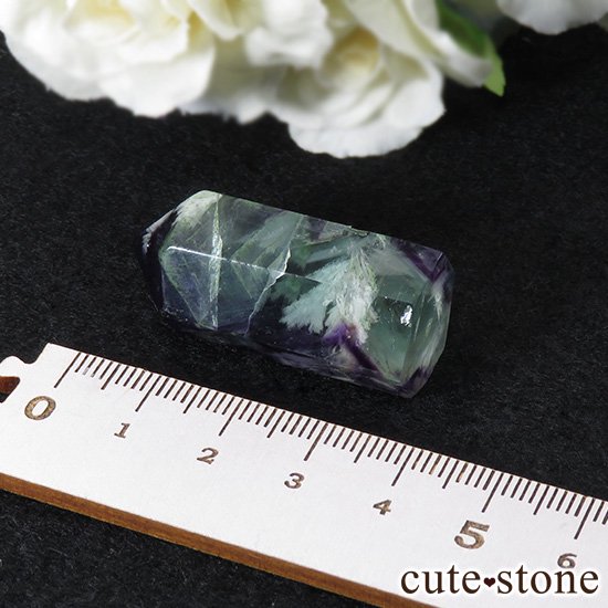 եե饤ȡʥ󥸥եˤΥݥåݥ 19.7gμ̿2 cute stone