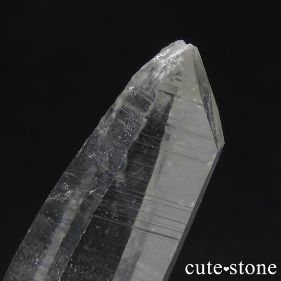 ҥޥ 뻺 ۥ磻ȥեȥθФμ̿3 cute stone