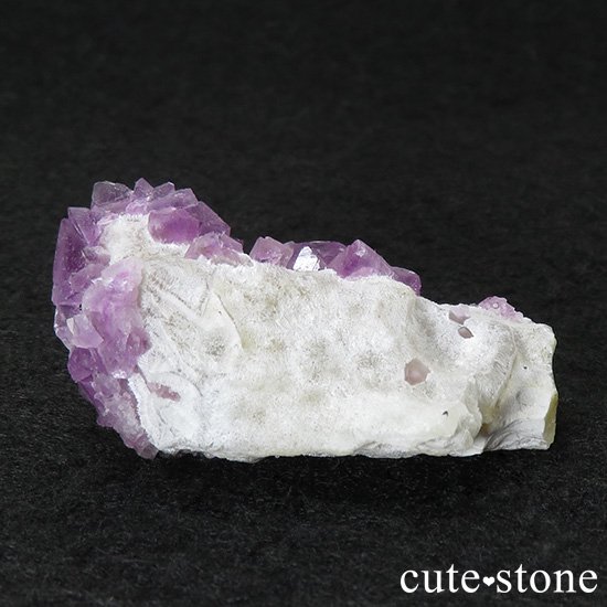 ޶ʻ ȬΥѡץե饤Ȥθ 28gμ̿0 cute stone
