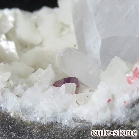 ʻ äʥ󥷥˥ʥСդ 66gμ̿1 cute stone