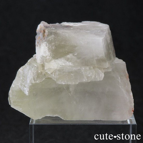 ꥢ륬 (ܴ)դ뾽()μ̿0 cute stone