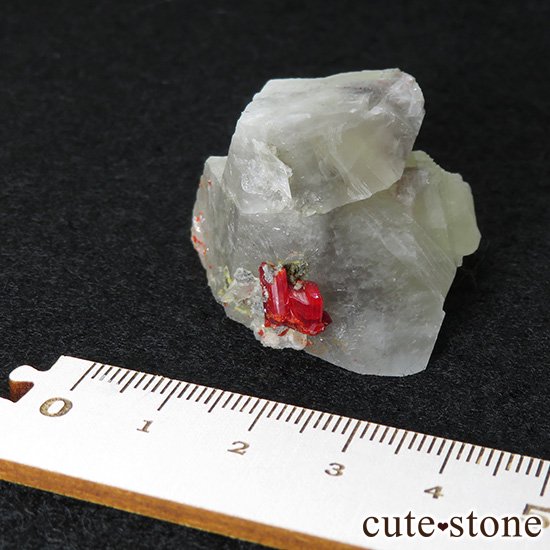 ꥢ륬 (ܴ)դ뾽()μ̿4 cute stone