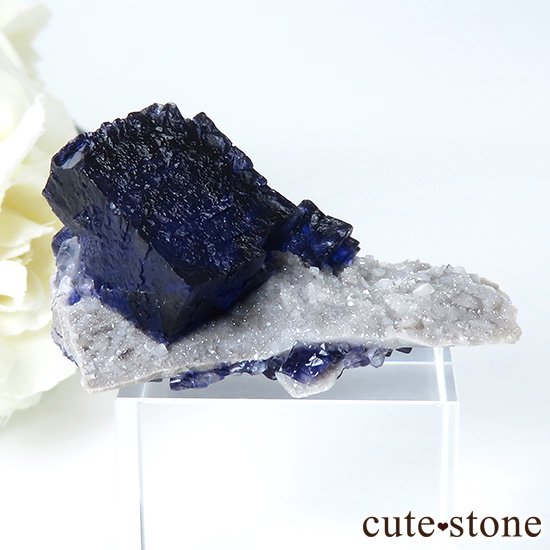 ꥫ ०åɹۻ դե饤Ȥθ 18gμ̿1 cute stone
