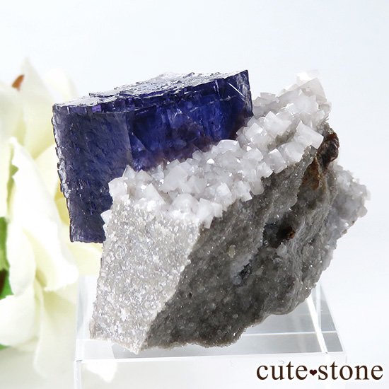 ꥫ ०åɹۻ դե饤Ȥθ 40gμ̿1 cute stone