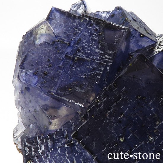 ꥫ ०åɹۻ 礭ʥ֥롼ե饤Ȥθ 404gμ̿5 cute stone