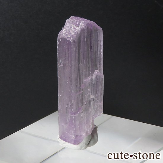 ĥ (ݥ󡦥) η뾽()μ̿0 cute stone