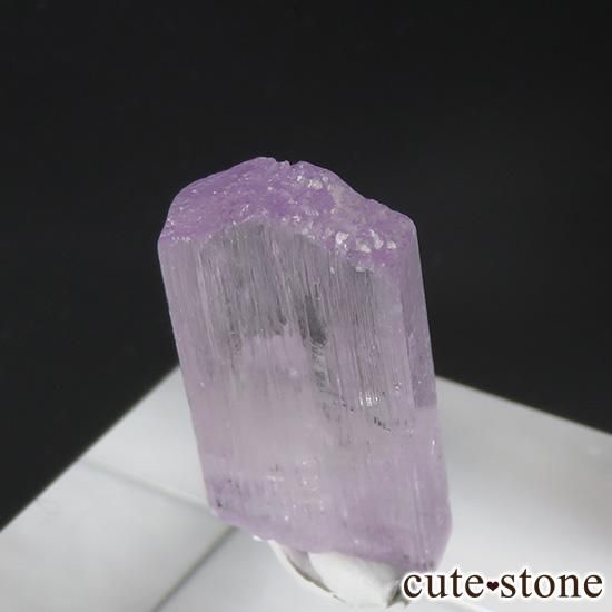 クンツァイト (スポジュメン・リチア輝石) の結晶(原石) - cute