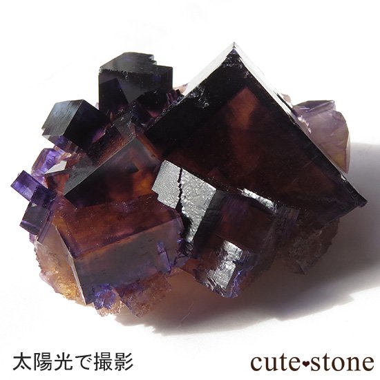 イリノイ産 パープル×イエローフローライト(蛍石)の原石 - cute stone -