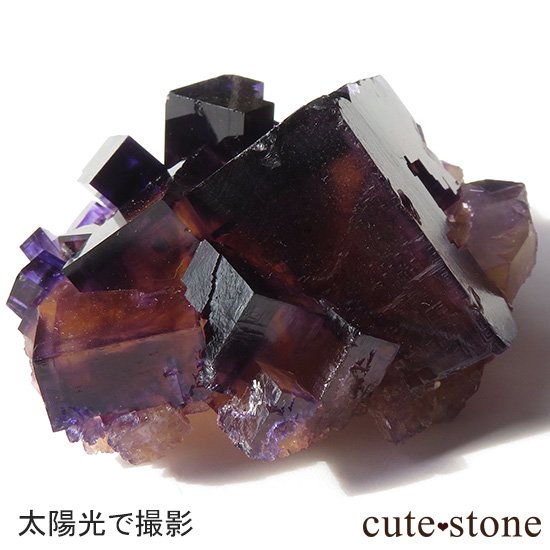 Υ ѡץߥե饤()θФμ̿0 cute stone