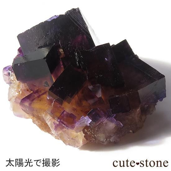 イリノイ産 パープル×イエローフローライト(蛍石)の原石 - cute stone -