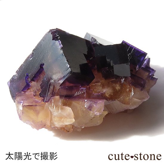 Υ ѡץߥե饤()θФμ̿2 cute stone
