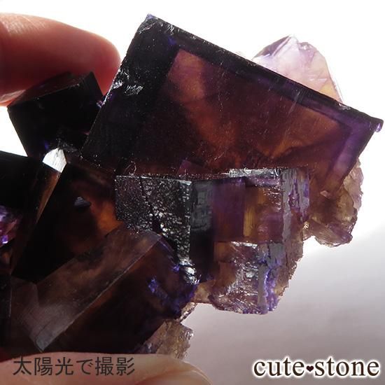 Υ ѡץߥե饤()θФμ̿3 cute stone