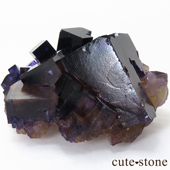 Υ ѡץߥե饤()θФμ̿4 cute stone