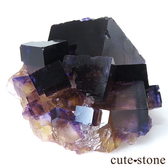 Υ ѡץߥե饤()θФμ̿5 cute stone
