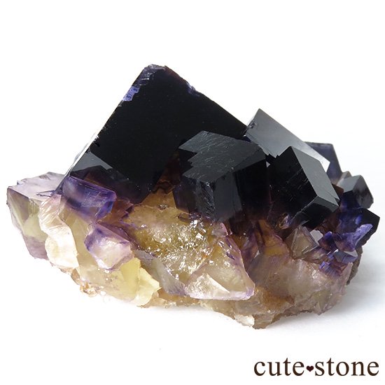 Υ ѡץߥե饤()θФμ̿6 cute stone
