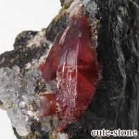 ڥ롼 ɥȡʥ󥫥ˡե饤Ȥθ 87.2gβ