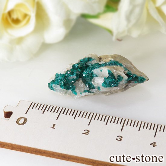 ե󻺤Υץơθ 6.9gμ̿3 cute stone