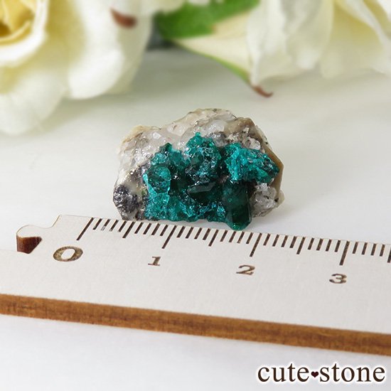 ե󻺤Υץơθ 3.4gμ̿2 cute stone
