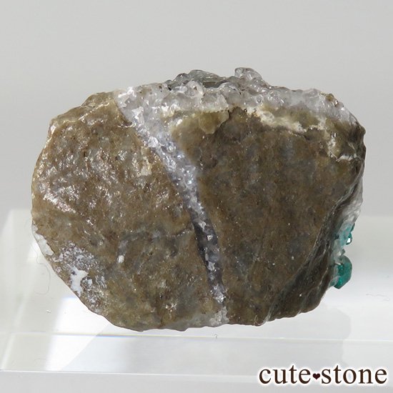 ե󻺤Υץơθ 4gμ̿0 cute stone