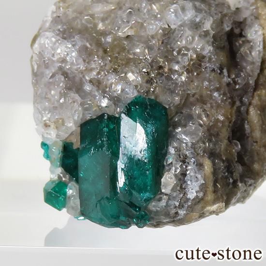 ե󻺤Υץơθ 4gμ̿1 cute stone