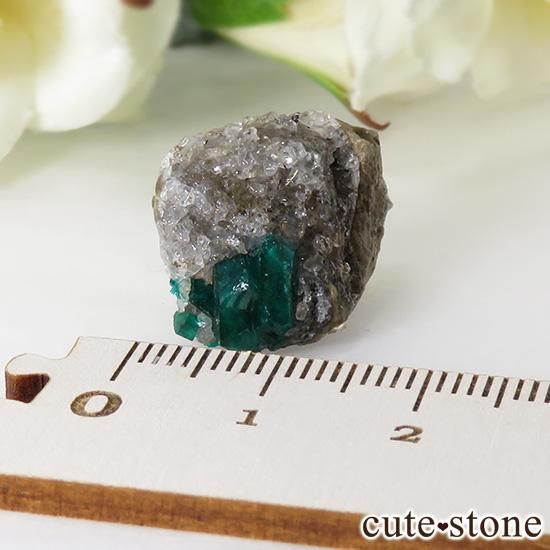 ե󻺤Υץơθ 4gμ̿3 cute stone