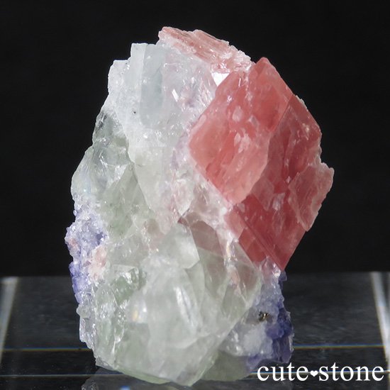  ʻ ե饤ȡɥȤζɸ()μ̿0 cute stone
