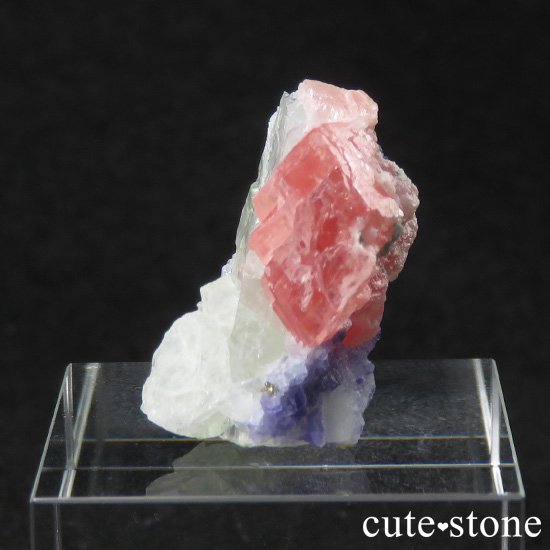  ʻ ե饤ȡɥȤζɸ()μ̿3 cute stone