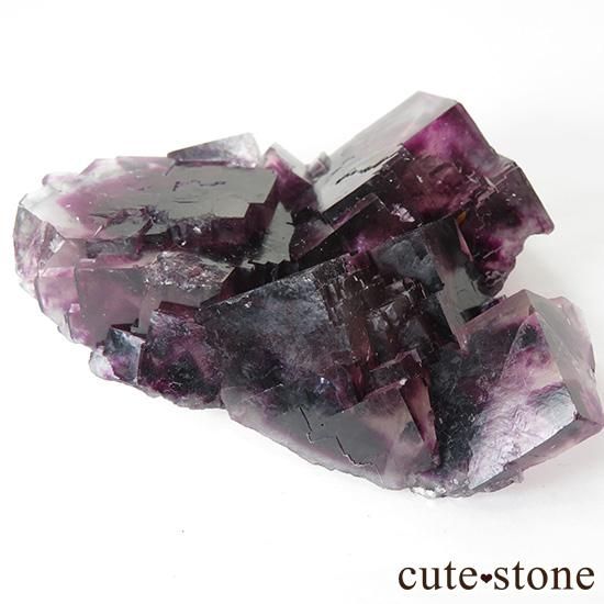 ʥߥӥåɥѡץե饤Ȥθ 133gμ̿5 cute stone