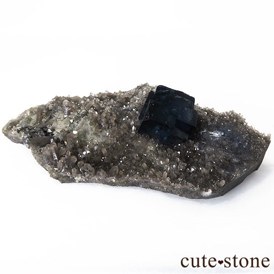  ʻ ǥץ֥롼ե饤ȤɸܡʸС129gμ̿1 cute stone