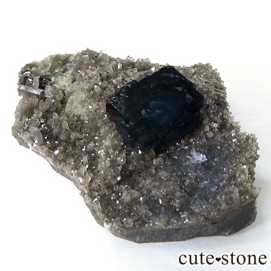  ʻ ǥץ֥롼ե饤ȤɸܡʸС129gμ̿2 cute stone