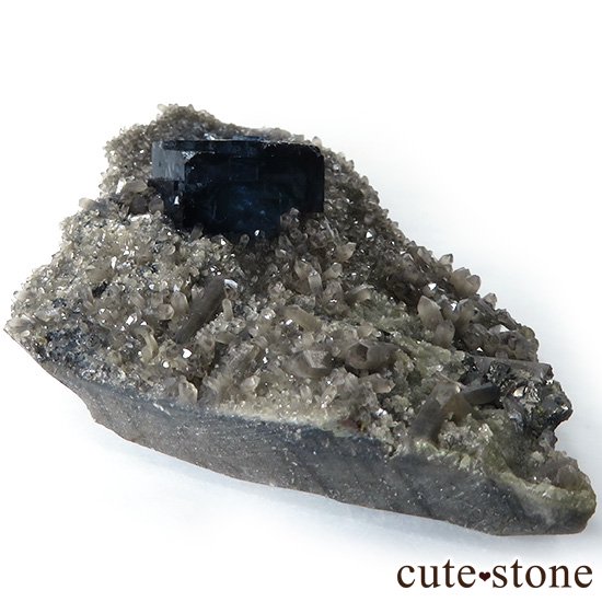  ʻ ǥץ֥롼ե饤ȤɸܡʸС129gμ̿4 cute stone