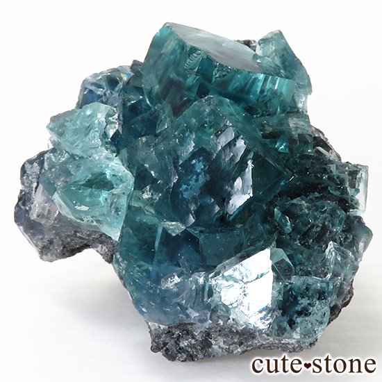  ʻ ֥롼꡼ե饤ȤɸܡʸС74gμ̿0 cute stone