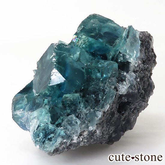  ʻ ֥롼꡼ե饤ȤɸܡʸС74gμ̿1 cute stone