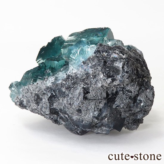  ʻ ֥롼꡼ե饤ȤɸܡʸС74gμ̿2 cute stone
