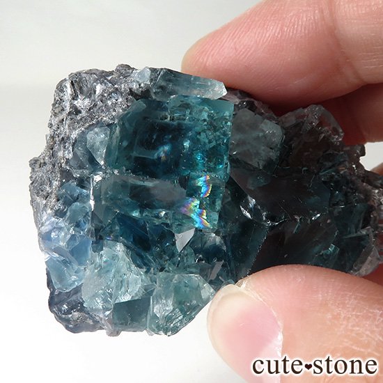  ʻ ֥롼꡼ե饤ȤɸܡʸС74gμ̿7 cute stone