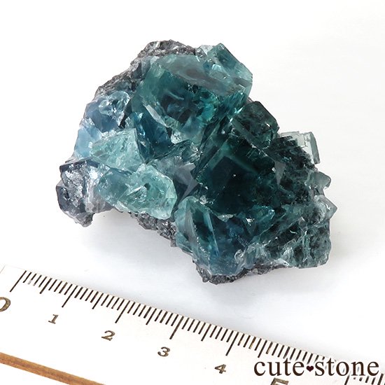  ʻ ֥롼꡼ե饤ȤɸܡʸС74gμ̿8 cute stone