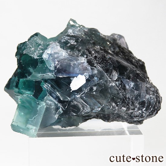  ʻ ֥롼꡼ե饤ȤɸܡʸС49gμ̿0 cute stone