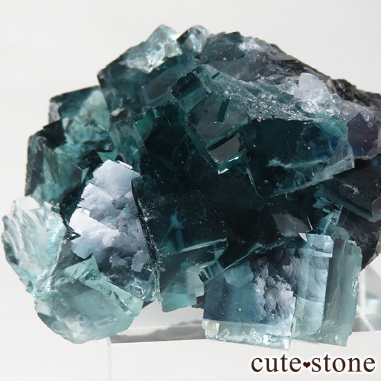  ʻ ֥롼꡼ե饤ȤɸܡʸС49gμ̿1 cute stone