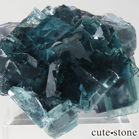  ʻ ֥롼꡼ե饤ȤɸܡʸС49gμ̿2 cute stone