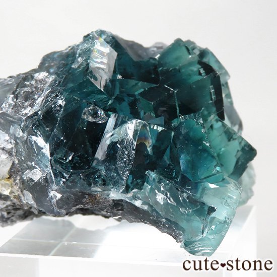  ʻ ֥롼꡼ե饤ȤɸܡʸС49gμ̿3 cute stone